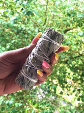 Load image into Gallery viewer, The Lustrous Sage Stick